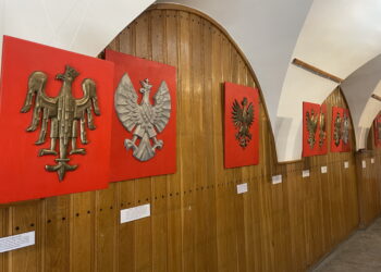 Orzeł Biały - różne wyobrażenia godła