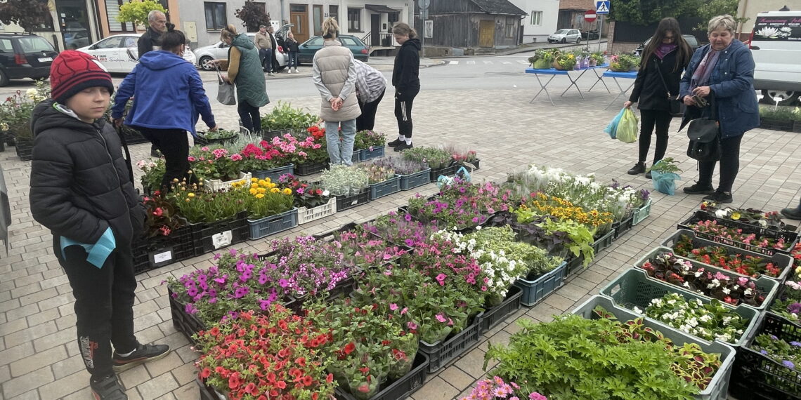 Rozmaitości na na kiermaszu roślinnym