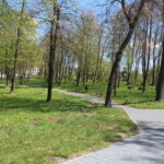 Odbudują wodotrysk i zainwestują w tężnię - Radio Kielce