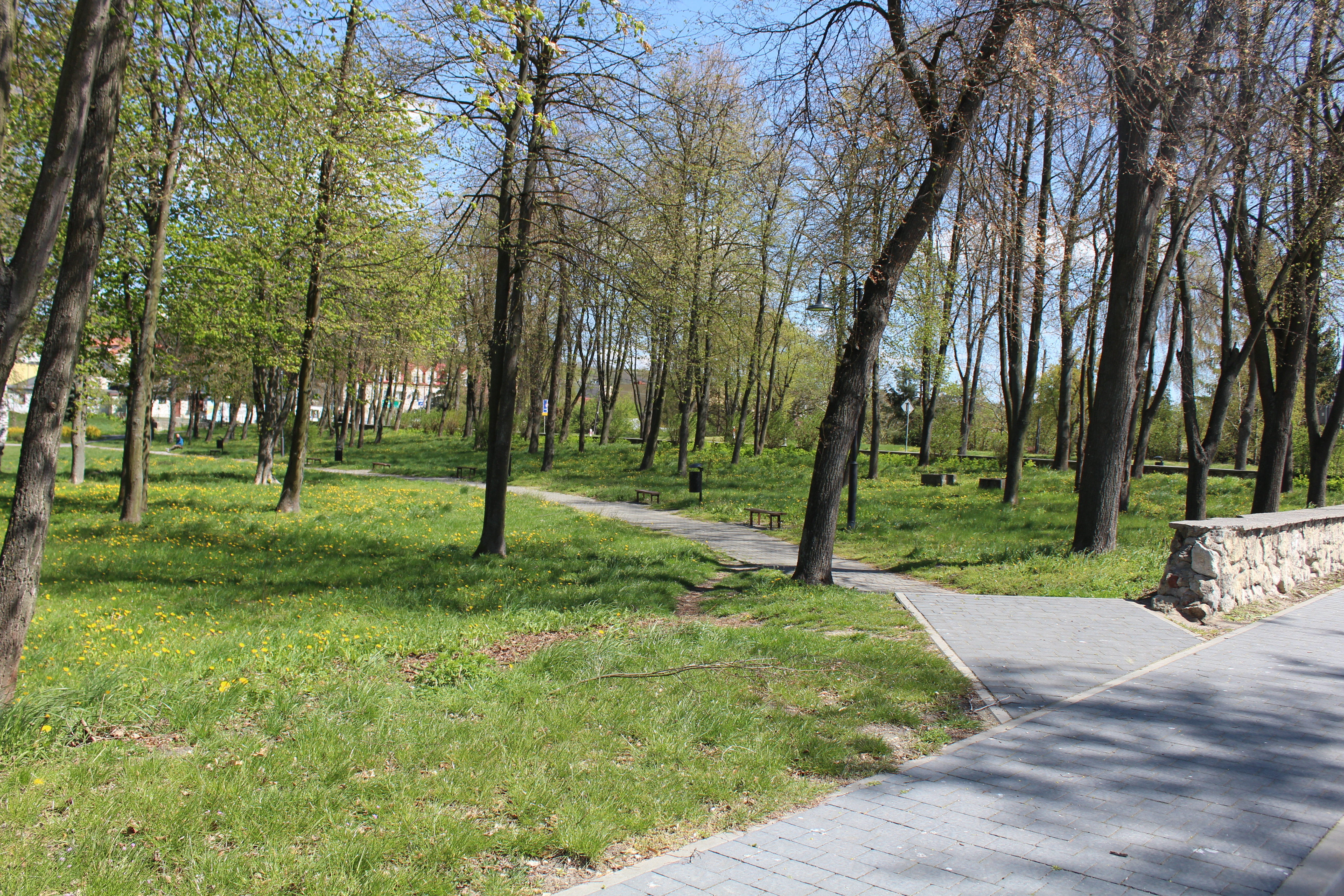 Odbudują wodotrysk i zainwestują w tężnię