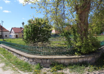 Odbudują wodotrysk i zainwestują w tężnię