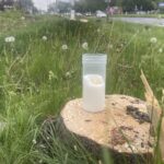 09.05.2026. Kielce. Znicze na pniach drzew ściętych w ramach budowy drogi S74 przy ul. Jesionowej / Fot. Jarosław Kubalski - Radio Kielce