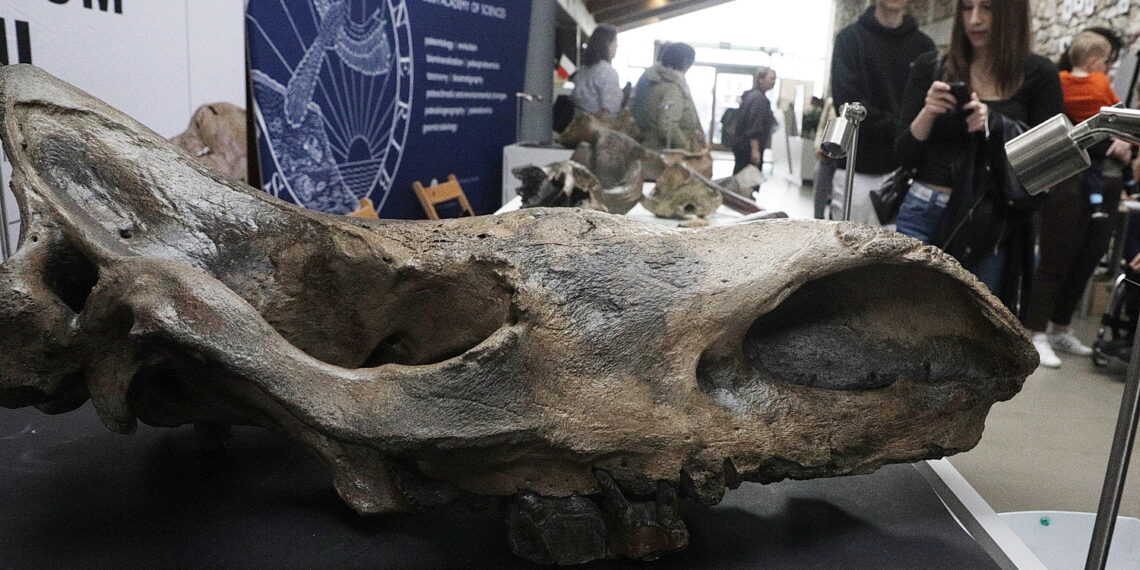 Kiedy Góry Świętokrzyskie były na równiku? Odpowiedź na Geofestiwalu