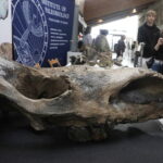 Kielce. Geofestiwal - Radio Kielce