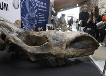 Kiedy Góry Świętokrzyskie były na równiku? Odpowiedź na Geofestiwalu