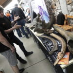 Kielce. Geofestiwal - Radio Kielce