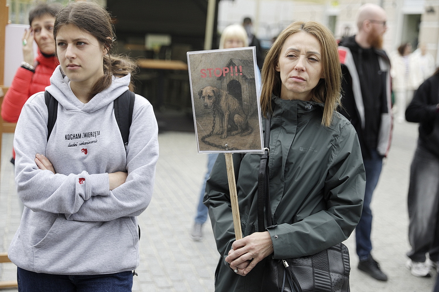 Wyszli na ulicę, żeby pomóc bezdomnym psom i kotom