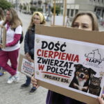 09.05.2026. Kielce. Ul. Sienkiewicza. Akcja „Mamy dość. Stop cierpieniu zwierząt” / Fot. Jarosław Kubalski - Radio Kielce