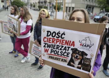 09.05.2026. Kielce. Ul. Sienkiewicza. Akcja „Mamy dość. Stop cierpieniu zwierząt” / Fot. Jarosław Kubalski - Radio Kielce