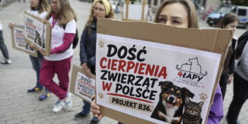 09.05.2026. Kielce. Ul. Sienkiewicza. Akcja „Mamy dość. Stop cierpieniu zwierząt” / Fot. Jarosław Kubalski - Radio Kielce