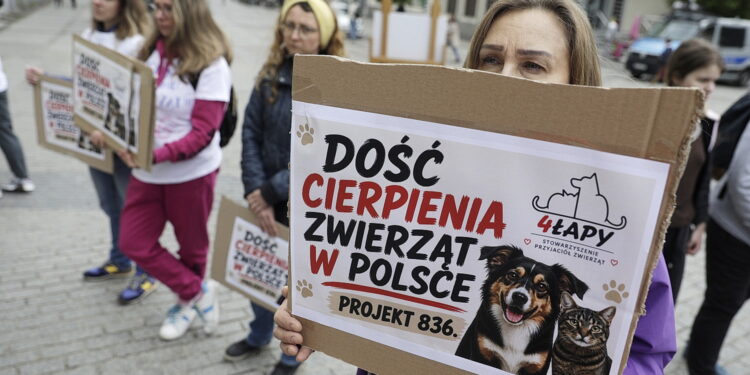 09.05.2026. Kielce. Ul. Sienkiewicza. Akcja „Mamy dość. Stop cierpieniu zwierząt” / Fot. Jarosław Kubalski - Radio Kielce