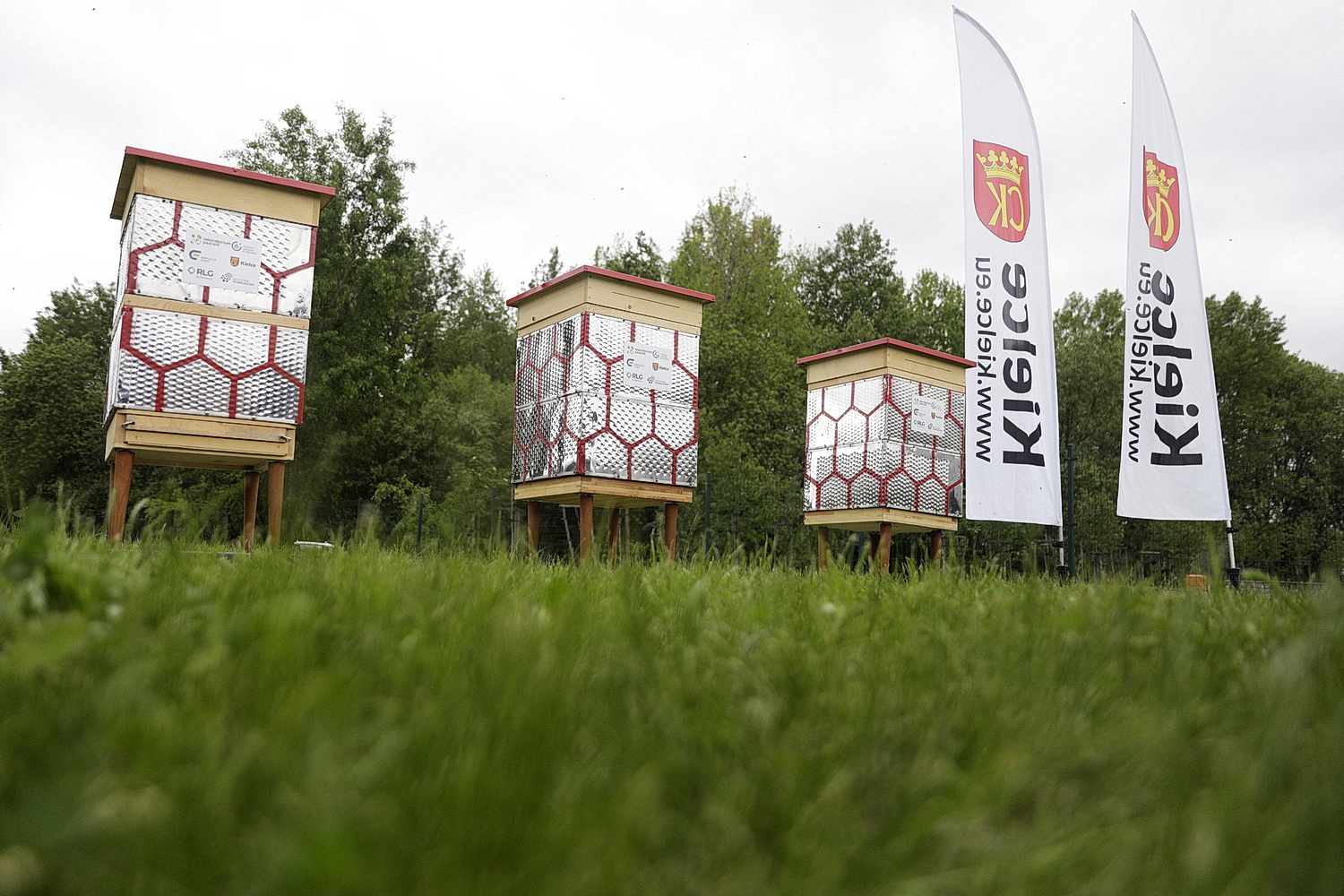 Ule z bębnów do pralek stanęły w Kielcach - Radio Kielce 19.05.2026. Kielce. Kielecki Park Technologiczny. Otwarcie pasieki edukacyjnej, która powstała w ramach projektu „Od bębna do ula” / Fot. Jarosław Kubalski - Radio Kielce
