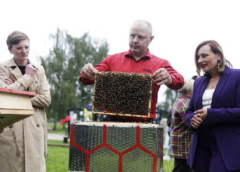 19.05.2026. Kielce. Kielecki Park Technologiczny. Otwarcie pasieki edukacyjnej, która powstała w ramach projektu „Od bębna do ula” / Fot. Jarosław Kubalski - Radio Kielce