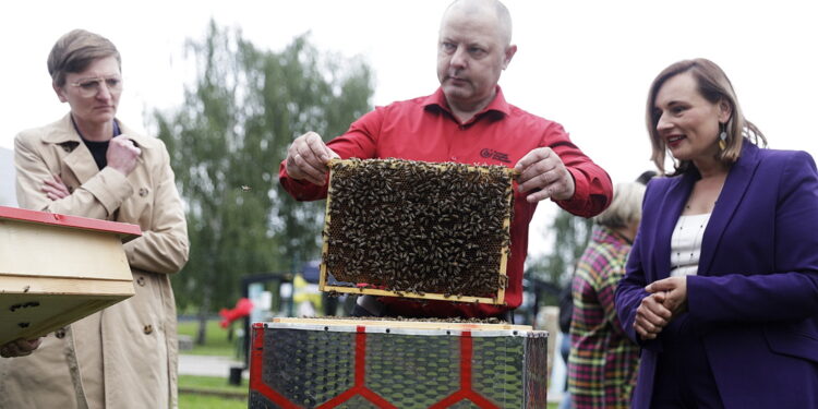 Ule z bębnów do pralek stanęły w Kielcach - Radio Kielce 19.05.2026. Kielce. Kielecki Park Technologiczny. Otwarcie pasieki edukacyjnej, która powstała w ramach projektu „Od bębna do ula” / Fot. Jarosław Kubalski - Radio Kielce