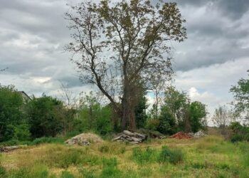 Podskale. Przy drodze krajowej nr 79, ma powstać nowoczesne miejsce postojowe dla kamperów / Fot. Urząd Miasta i Gminy w Opatowcu