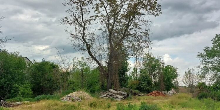Podskale. Przy drodze krajowej nr 79, ma powstać nowoczesne miejsce postojowe dla kamperów / Fot. Urząd Miasta i Gminy w Opatowcu
