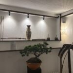 17.06.2026. Kielce. Otwarcie Muzeum Kultury i Sztuki Japońskiej Musashi / Fot. Aleksandra Słowak - Radio Kielce