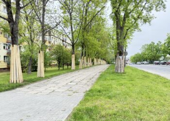 Kielce. Budowa ścieżki rowerowej przy ulicach Szczecińskiej oraz Bohaterów Warszawy / Źródło: Urząd Miasta Kielce