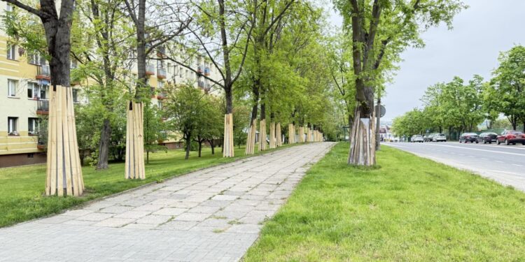 Na wschodzie Kielc powstaną nowe drogi rowerowe - Radio Kielce Kielce. Budowa ścieżki rowerowej przy ulicach Szczecińskiej oraz Bohaterów Warszawy / Źródło: Urząd Miasta Kielce