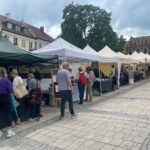 05.06.2026. Sandomierz. Festiwal Winasera / Fot. Grażyna Szlęzak-Wójcik - Radio Kielce