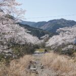 Shikoku Henro. Japonia / Fot. Joanna Murzydło