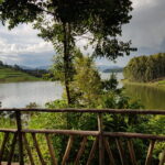 Muzyczne podróże przez świat. Uganda i Rwanda. Planeta małp - Radio Kielce