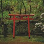 Shikoku Henro. Japonia / Fot. Joanna Murzydło