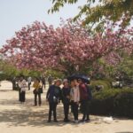 Shikoku Henro. Japonia / Fot. Joanna Murzydło