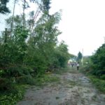 źródło: straż pożarna