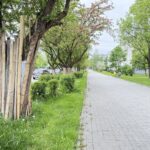 Na wschodzie Kielc powstaną nowe drogi rowerowe - Radio Kielce Kielce. Budowa ścieżki rowerowej przy ulicach Szczecińskiej oraz Bohaterów Warszawy / Źródło: Urząd Miasta Kielce