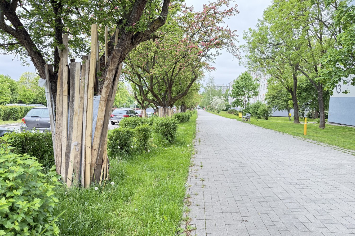 Na wschodzie Kielc powstaną nowe drogi rowerowe