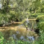 28.06.2026. Koprzywnica. Rzeka Koprzywianka - spływ kajakowy / Fot. Grażyna Szlęzak-Wójcik - Radio Kielce