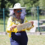 24.06.2026. Kielce. Pierwsze miodobranie w pasiece Kieleckiego Parku Technologicznego / Fot. Wiktor Taszłow - Radio Kielce