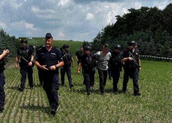 22.06.2026. Mierzawa. Zatrzymanie mężczyzny, podejrzewanego o zabójstwo / Źródło: Policja