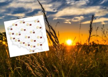 Powolutku skrada się nas afrykański upał - Radio Kielce Powolutku skrada się nas afrykański upał