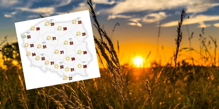 Powolutku skrada się nas afrykański upał - Radio Kielce Powolutku skrada się nas afrykański upał