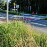25.06.2026. Kielce. Ul. Wojska Polskiego. Zarośnięty pas drogowy / Fot. Jarosław Kubalski - Radio Kielce