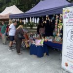 05.06.2026. Sandomierz. Senioralia / Fot. Grażyna Szlęzak-Wójcik - Radio Kielce