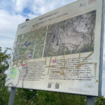 03.06.2026. Kielce. Okolice rezerwatu Ślichowice / Fot. Wiktor Taszłow - Radio Kielce