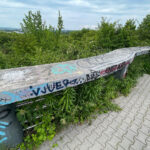 03.06.2026. Kielce. Okolice rezerwatu Ślichowice / Fot. Wiktor Taszłow - Radio Kielce