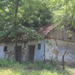 Zespół dworsko-parkowy w Pierocicach / Fot. Marta Gajda-Kruk - Radio Kielce