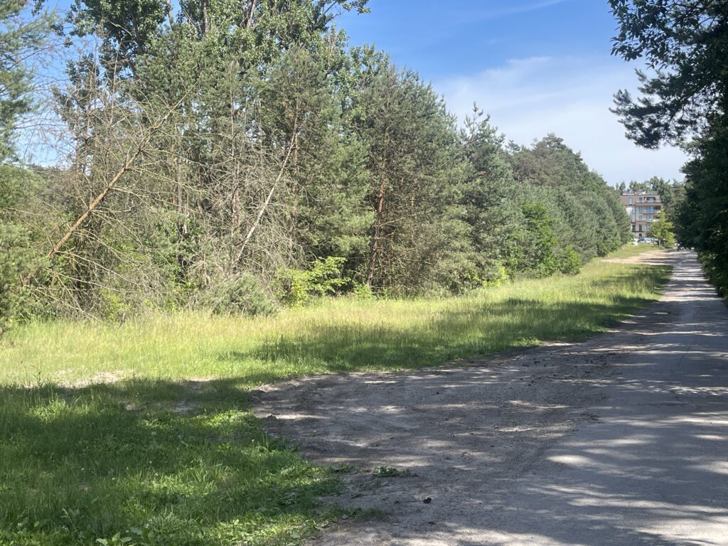 Straż Graniczna planuje w Kielcach inwestycję - Radio Kielce