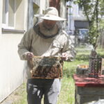 09.06.2026. Kielce. Zbiory miodu z pasieki przy Politechnice Świętokrzyskiej / Fot. Jarosław Kubalski - Radio Kielce