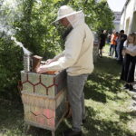 09.06.2026. Kielce. Zbiory miodu z pasieki przy Politechnice Świętokrzyskiej / Fot. Jarosław Kubalski - Radio Kielce