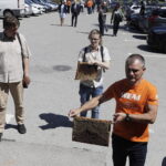 09.06.2026. Kielce. Zbiory miodu z pasieki przy Politechnice Świętokrzyskiej / Fot. Jarosław Kubalski - Radio Kielce