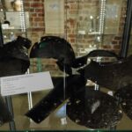 14.06.2026. Sandomierz. Wystawa archeologiczna / Fot. Sylwia Mroczka - Muzeum Zamkowe w Sandomierzu