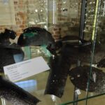 14.06.2026. Sandomierz. Wystawa archeologiczna / Fot. Sylwia Mroczka - Muzeum Zamkowe w Sandomierzu