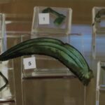 14.06.2026. Sandomierz. Wystawa archeologiczna / Fot. Sylwia Mroczka - Muzeum Zamkowe w Sandomierzu