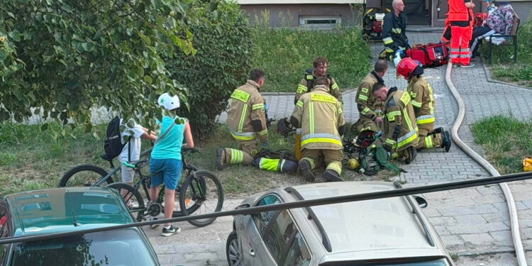 Pożar na czwartym piętrze bloku. Tragedia zwierząt - Radio Kielce Pożar na czwartym piętrze bloku. Tragedia zwierząt