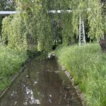 Rewitalizacja Parku Dolina Silnicy coraz bliżej - Radio Kielce Rewitalizacja Parku Dolina Silnicy coraz bliżej - Radio Kielce